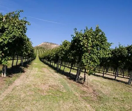 公寓 San Ruffillo Sleeps 6 Pool Wifi T762496 博洛尼亚